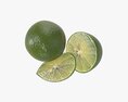 Citrus Lime Fruit 3D 모델 