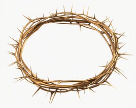 Crown of Thorns Metal Gold Modelo 3d