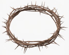 Crown of Thorns Wooden 3D model