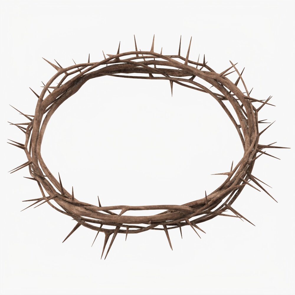 Crown of Thorns Wooden Modelo 3d