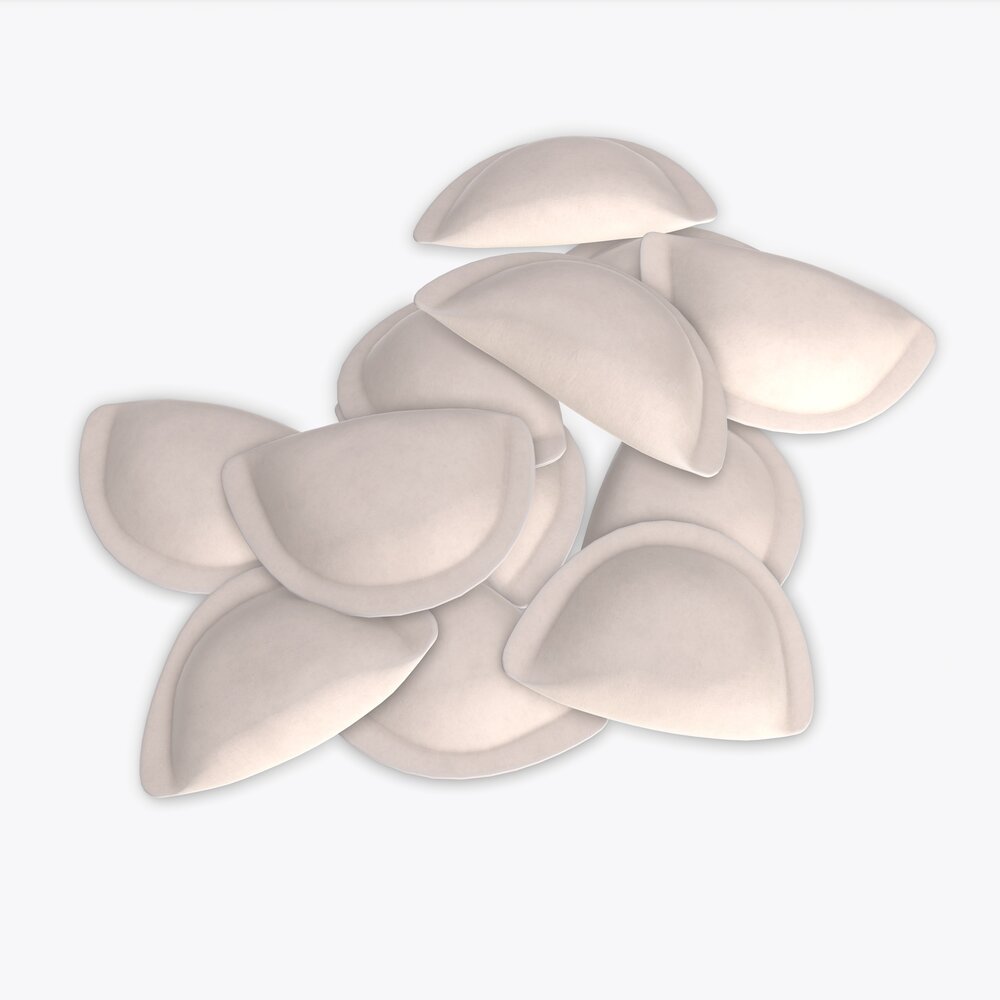 Dumplings 01 Modèle 3D