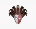 Carnival Venetian Mask 02 3d model