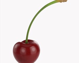 Cherry Single 3Dモデル