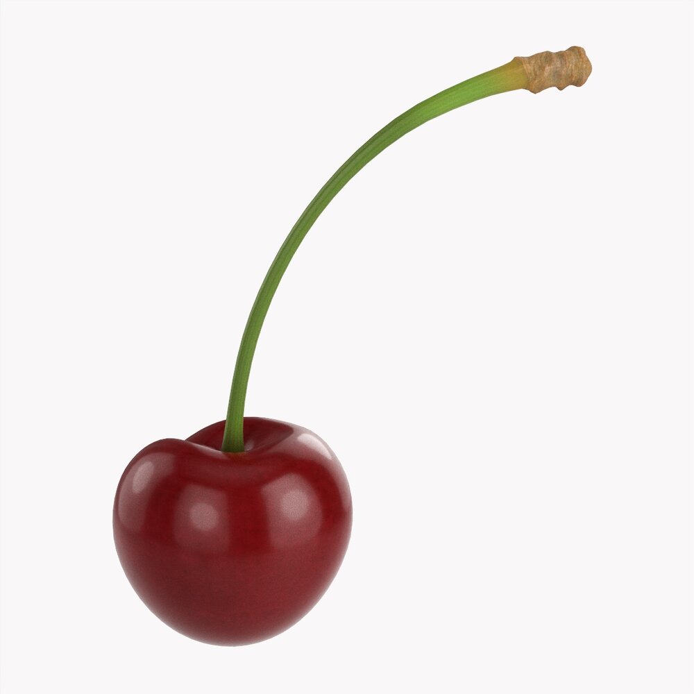 Cherry Single 3D 모델 