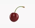 Cherry Single Modèle 3d