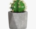 Decorative Potted Plant 09 3D 모델 