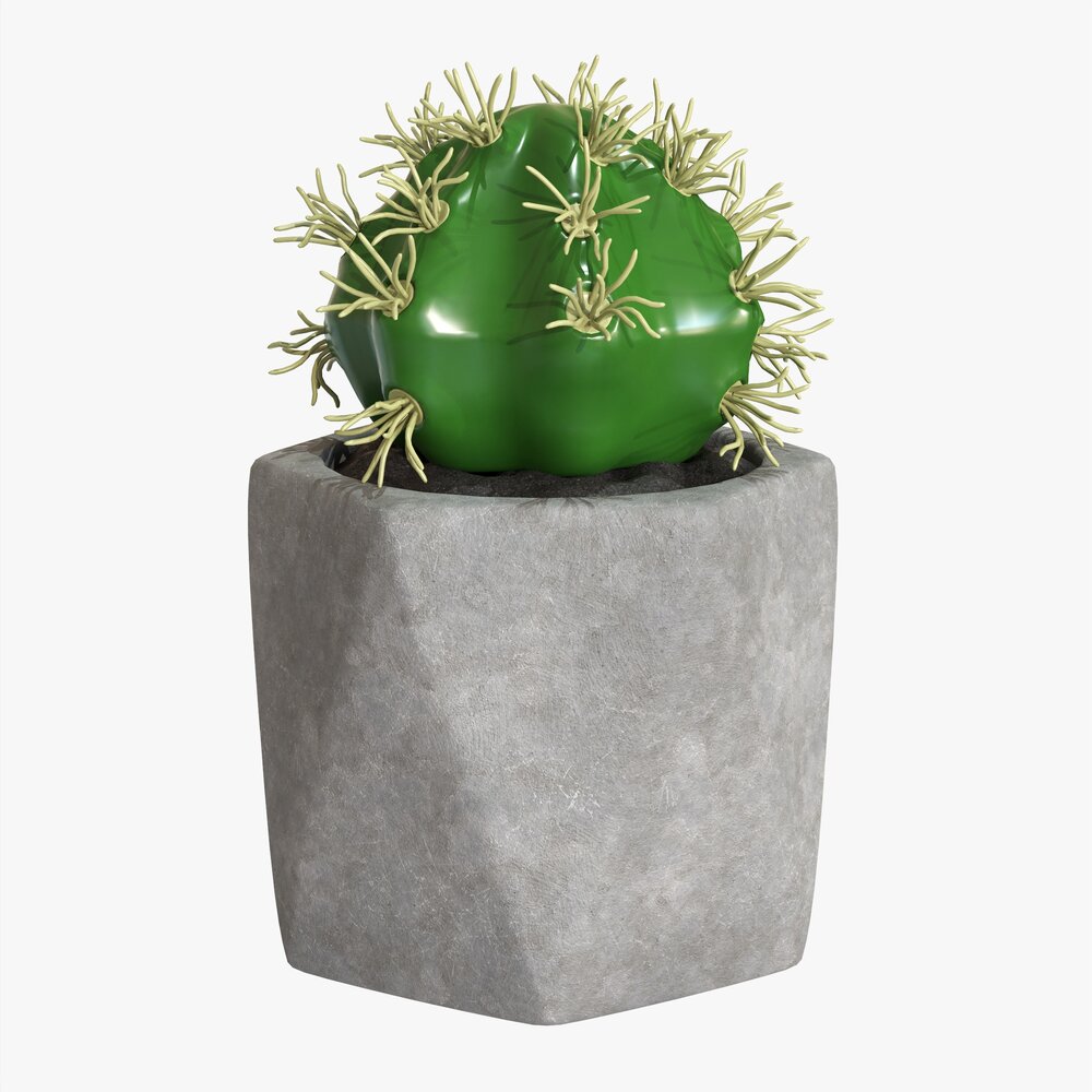 Decorative Potted Plant 09 3D 모델 