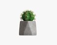 Decorative Potted Plant 09 3D-Modell