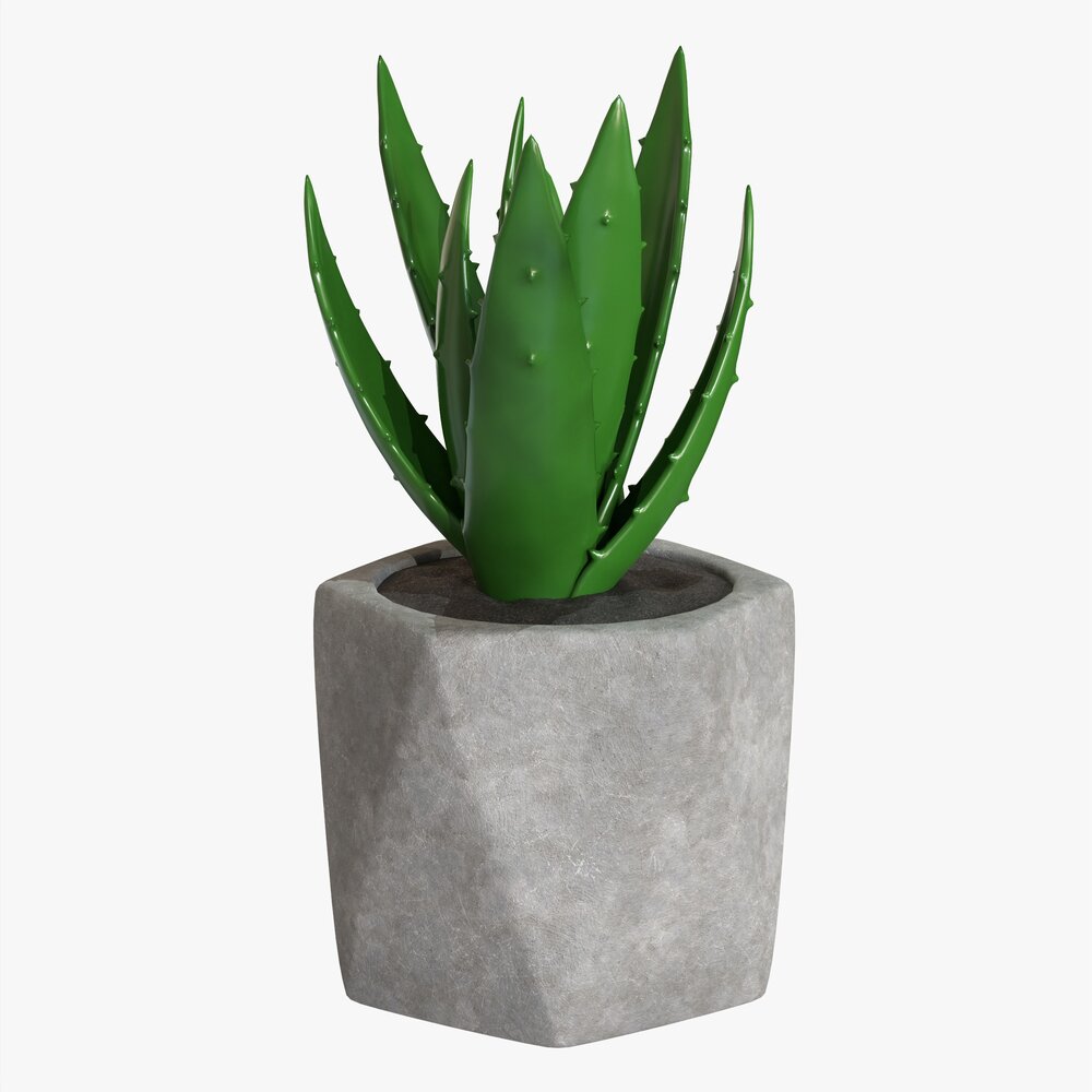 Decorative Potted Plant 10 3D model