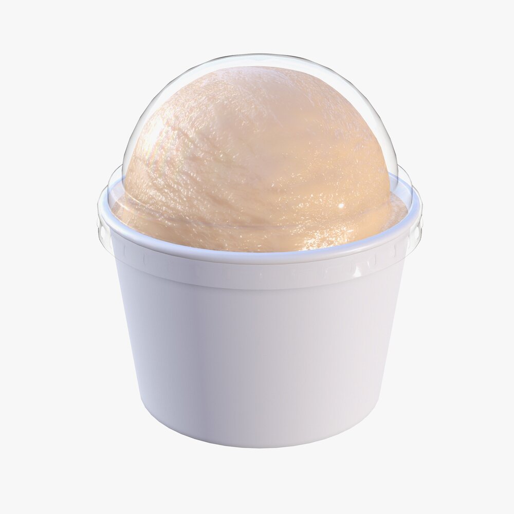 Ice Cream Ball In Plastic Package Box For Mockup Modello 3D