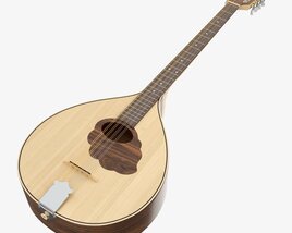 Irish Bouzouki String Instrument Modelo 3d