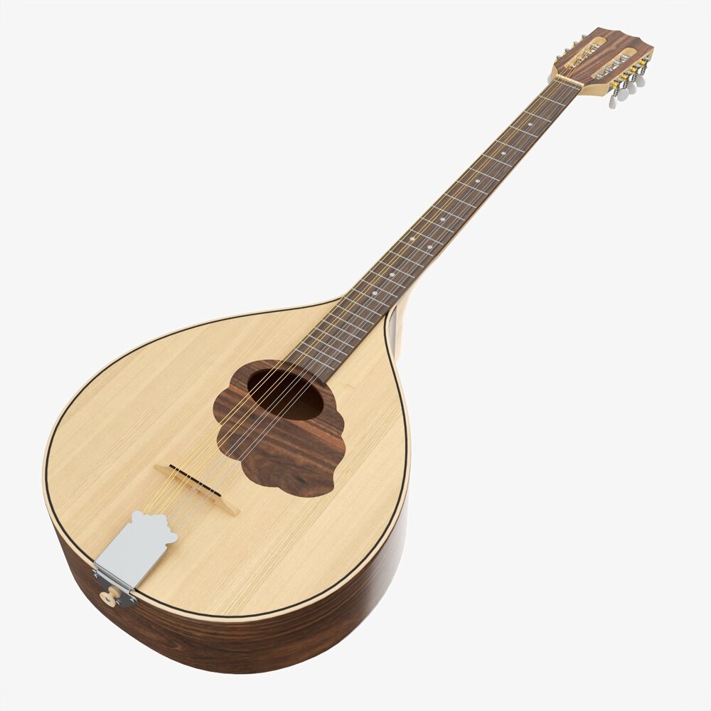 Irish Bouzouki String Instrument 3D model