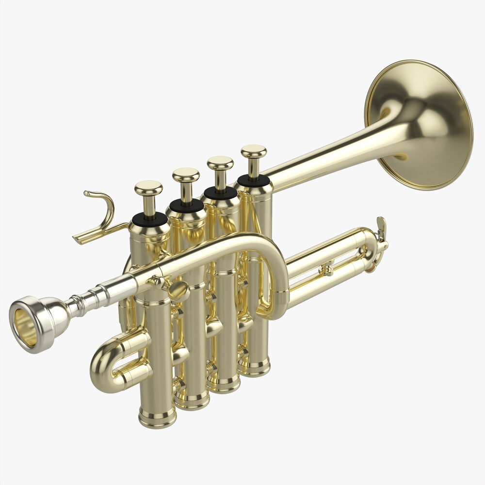 Piccolo Trumpet 3D 모델 
