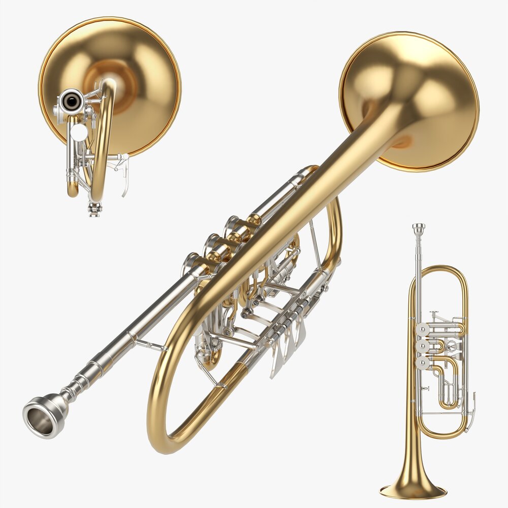 Rotary Valve Trumpet 3D model