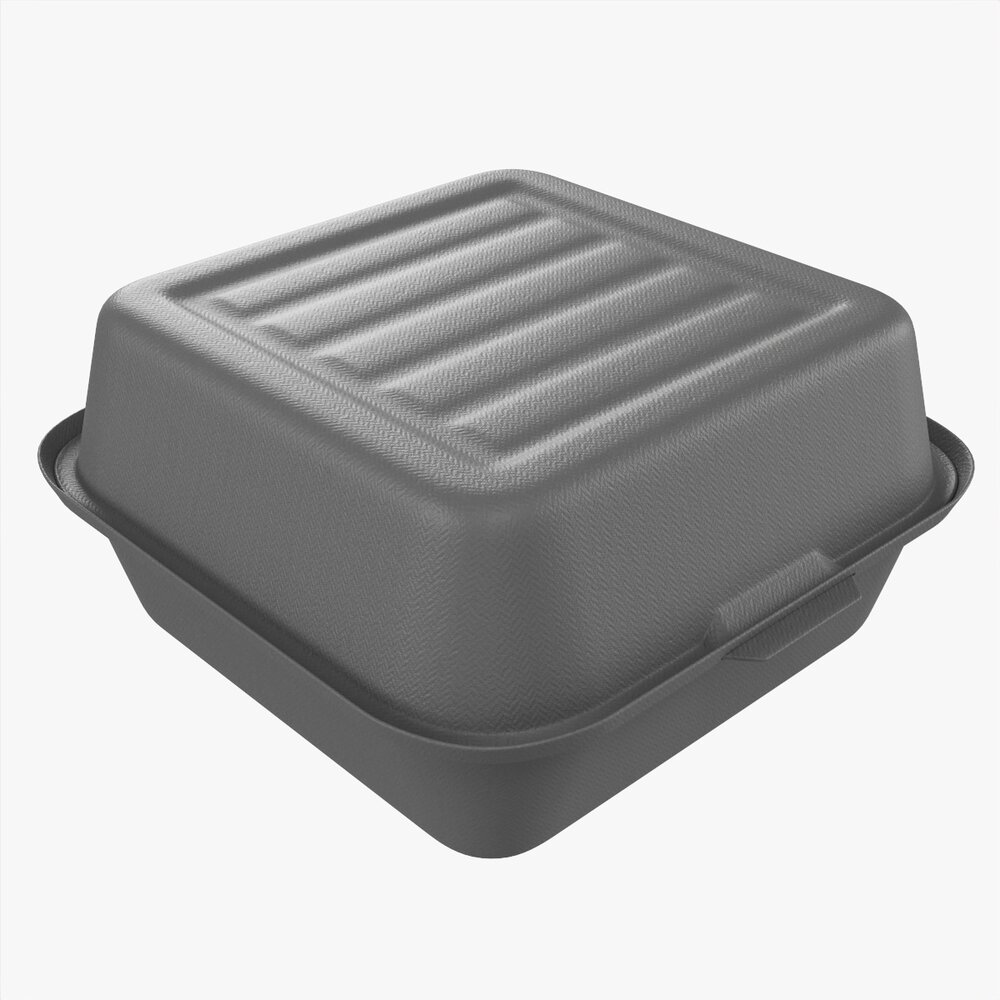 Compostable Take-Away Container Closed Gray 3D模型