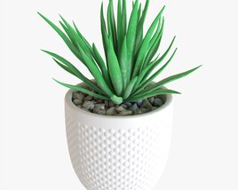 Decorative Potted Plant Succulent 11 3D model