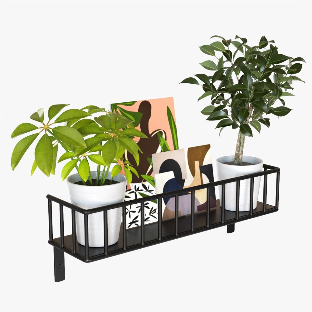 Decorative Wall Shelf With Plants 03 3D model