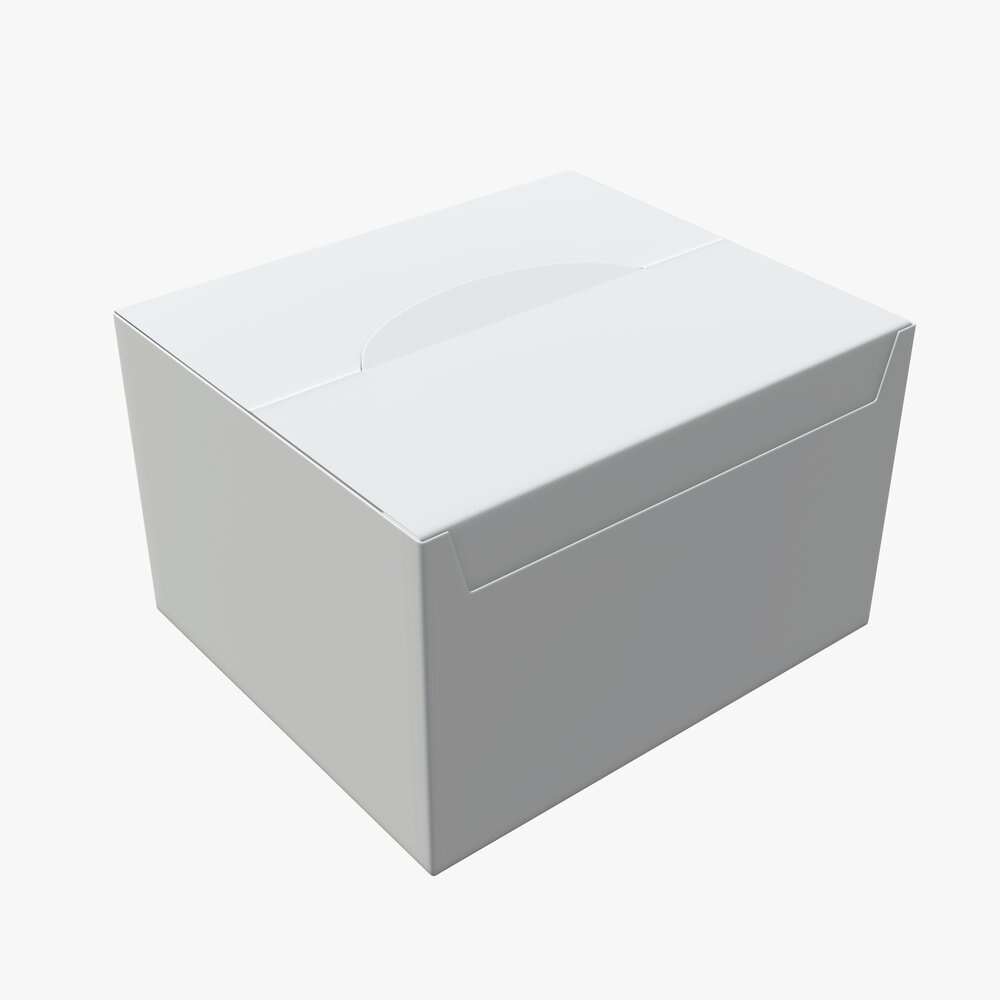 Package Blank White Closed Large Mock Up 3D model