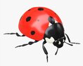 Ladybug 3Dモデル