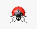 Ladybug 3D-Modell