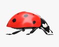 Ladybug 3D 모델 