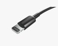 Lightning Cable Double Sided Black 3D模型