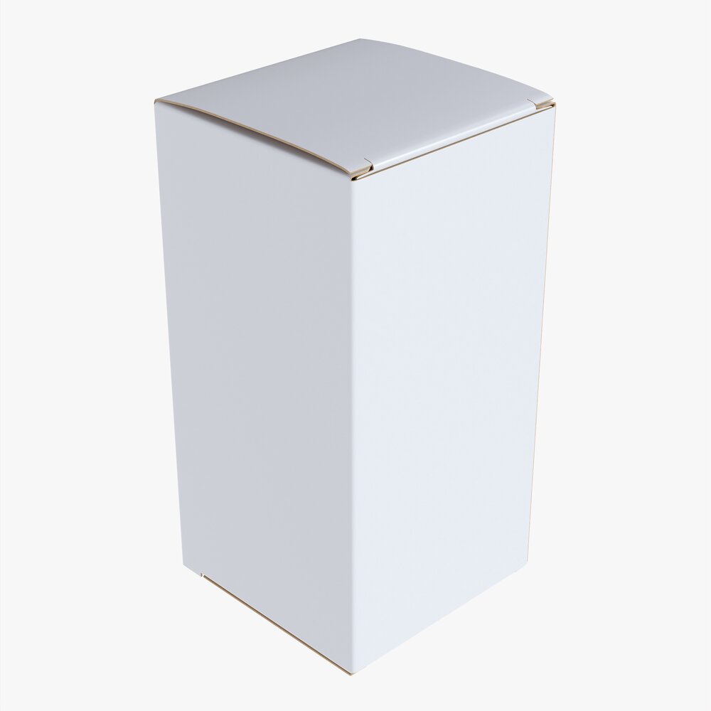 Paper Box Mockup 10 Modèle 3d