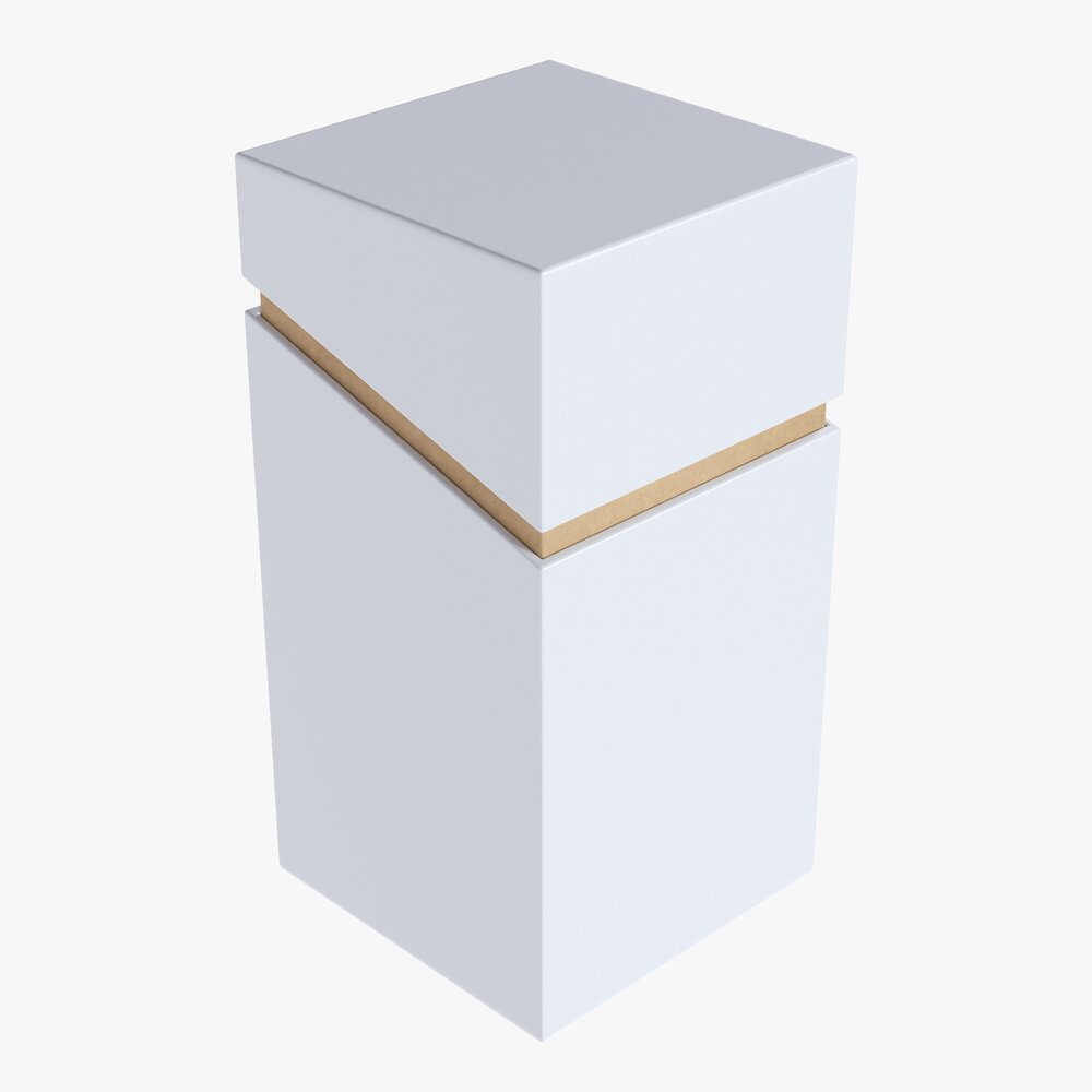 Paper Gift Box Mockup 02 3D модель