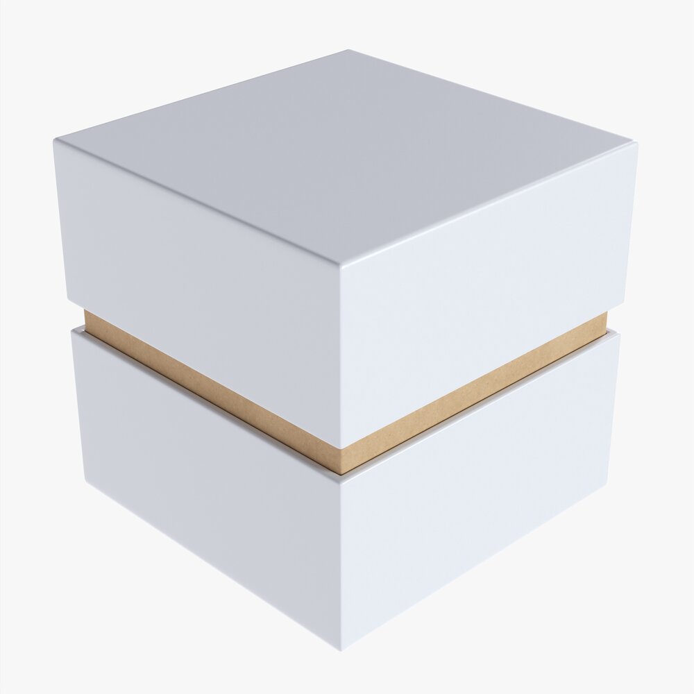 Paper Gift Box Mockup 03 Modèle 3d