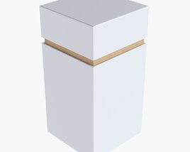 Paper Gift Box Mockup 04 3D model