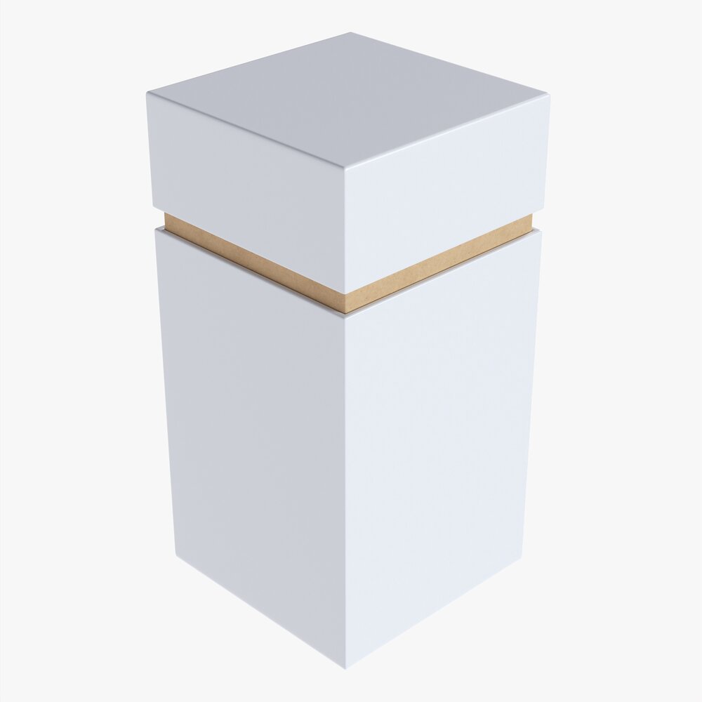 Paper Gift Box Mockup 04 Modello 3D