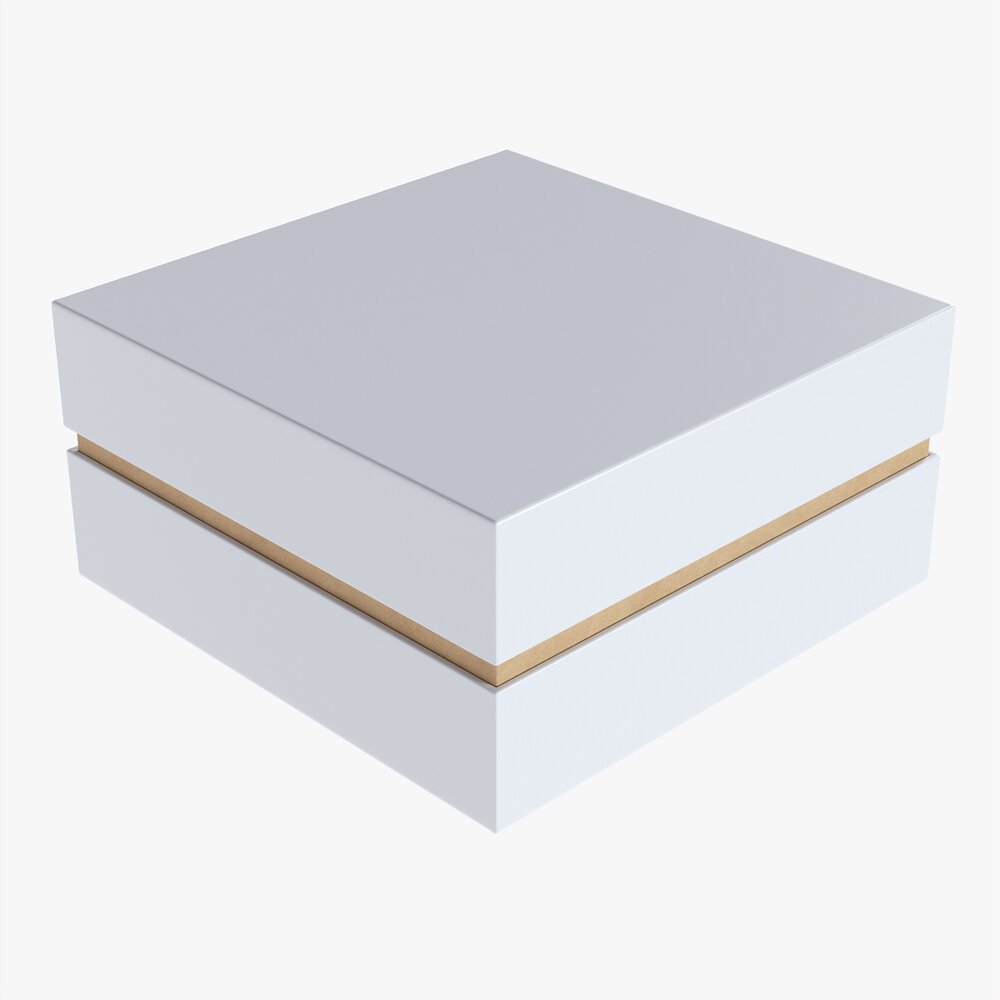 Paper Gift Box Mockup 06 3D模型