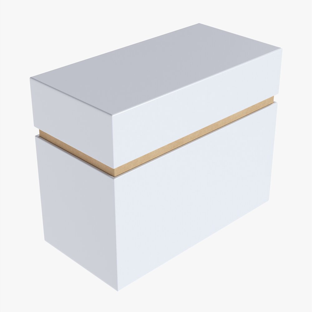 Paper Gift Box Mockup 07 3D model