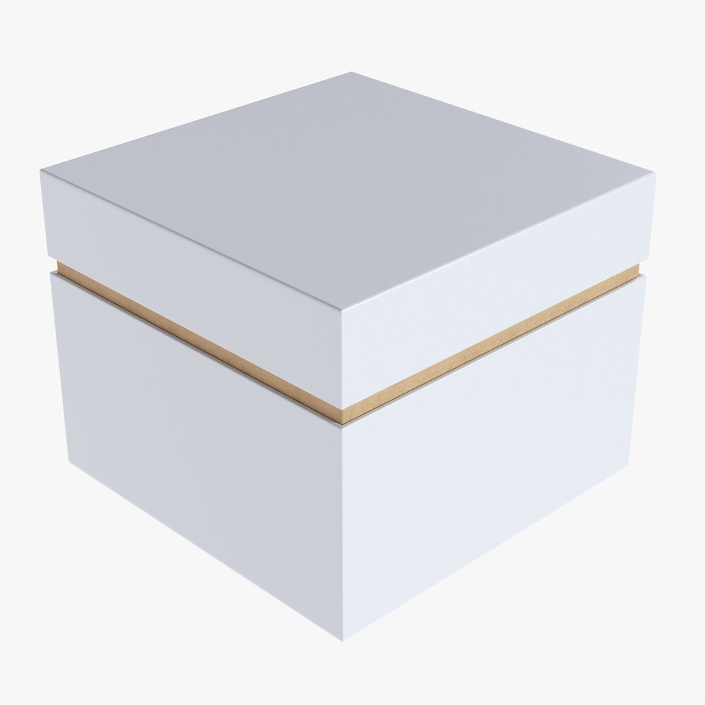 Paper Gift Box Mockup 08 3D 모델 