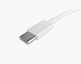 Usb C Cable Double Sided White 3D 모델 