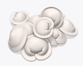 Dumplings 03 3D model