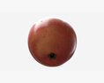 Apple Single Fruit Gala Red Modello 3D