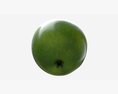 Apple Single Fruit Green Modèle 3d