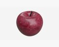 Apple Single Fruit Red 3d model