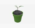Decorative Potted Plant 12 3D 모델 