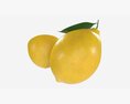 Fresh Lemon With Slice And Leaf 02 3d model