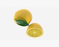 Fresh Lemon With Slice And Leaf 02 3D модель