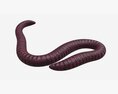 Red Worm 01 Modelo 3D