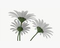 Vase With Daisies 3d model