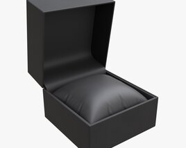 Wristwatch Box With Pillow 3D模型