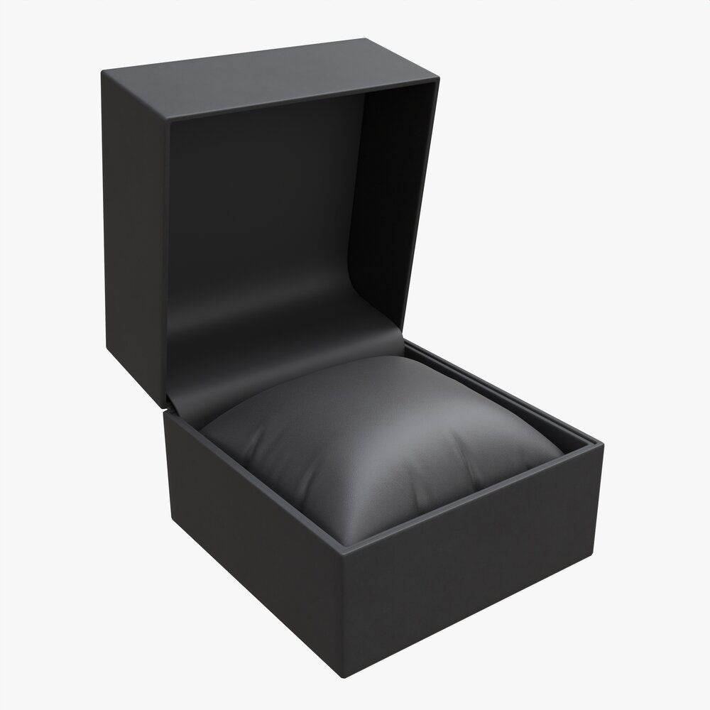 Wristwatch Box With Pillow 3D-Modell