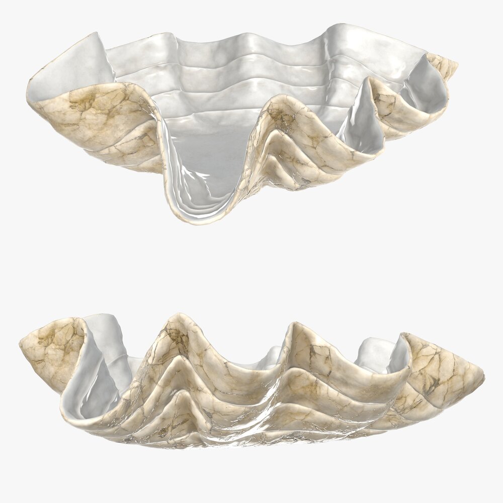 Clam Shell Bowl 3D-Modell