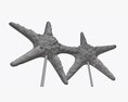Sea Star Sculpture 3d model