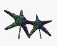 Sea Star Sculpture Modello 3D