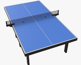 Indoor Table Tennis Table ITTF 3D 모델 
